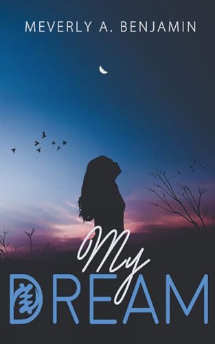 Book cover showing a silhouette of a person looking up at a twilight sky.