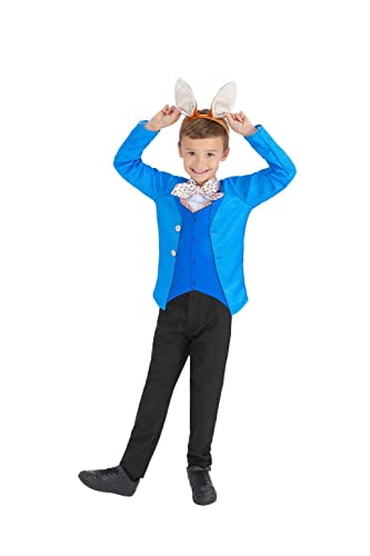 Mr Rabbit Costume