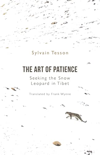 The Art of Patience: Seeking the Snow Leopard in Tibet
