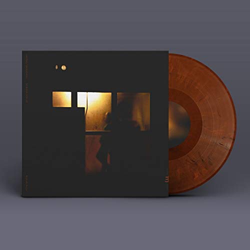 Sachal Vasandani & Romain Coll - Midnight Shelter  [VINYL]