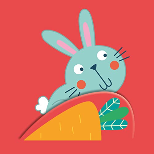 SOFT PEEKABOO BEDTIME BOOK RABBI