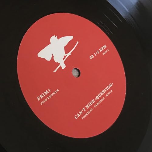 Various - Cant Hide [VINYL]