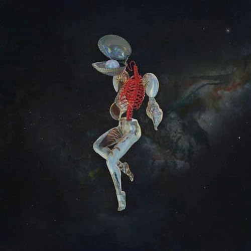 Hail Spirit Noir - Fossil Garden [cd] [CD]