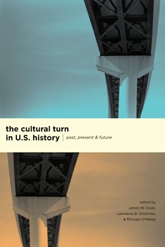 The Cultural Turn in U.S. History: Past