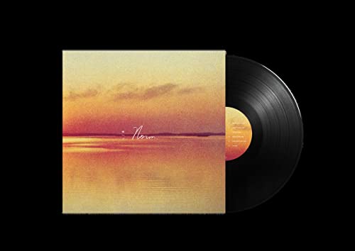Andy Shauf - Norm  [VINYL]