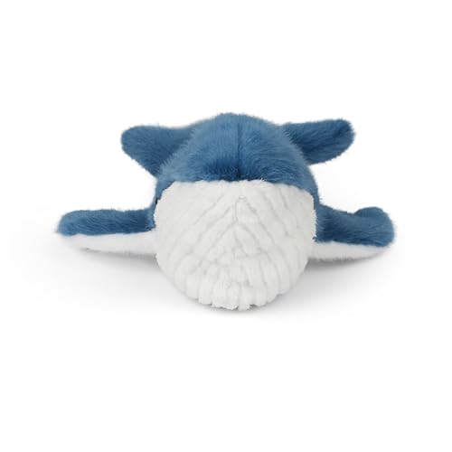 Blue Whale