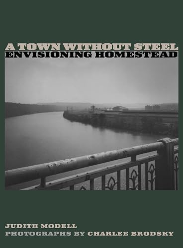 A Town Without Steel : Envisioning Homestead