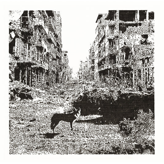 Vox Low - Keep On Falling [VINYL]