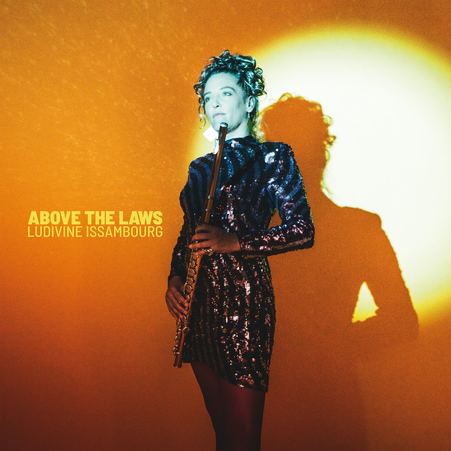 Ludivine Issambourg - Above The Laws [VINYL]