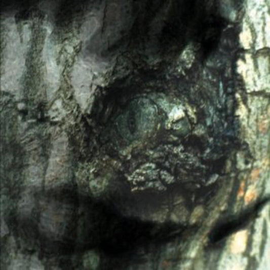 Tiersen Yann - Waltz Of The Monster [VINYL]