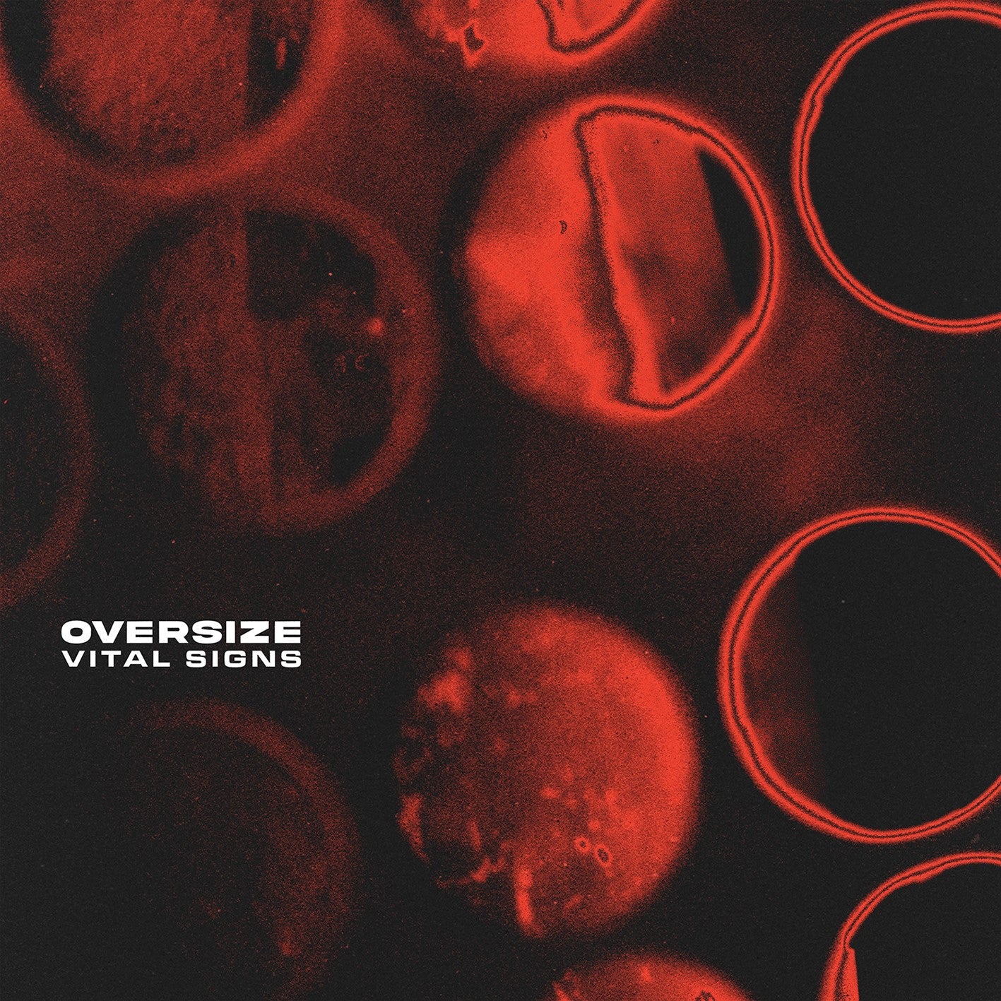 Oversize - Vital Signs (Red LP) [VINYL]