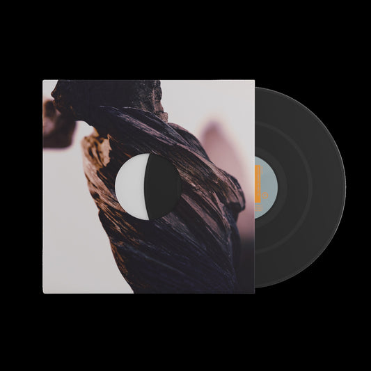 Pixies - The Night the Zombies Came [VINYL]