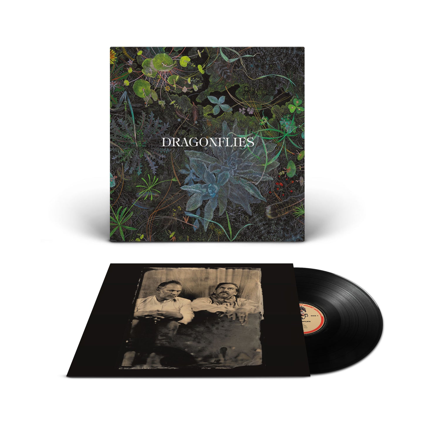 Dragonflies - Dragonflies [VINYL]