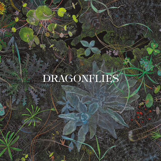 Album cover for Dragonflies, featuring dense, dark green foliage and text.