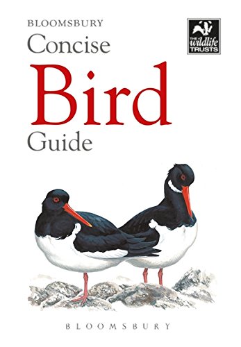 Concise Bird Guide (The Wildlife Trusts)