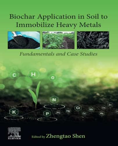 Biochar Application in Soil to Immobilize Heavy Metals : Fundamentals and Case Studies