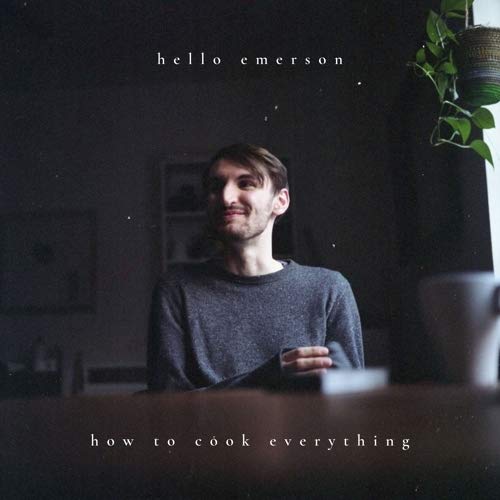 Various - How To Cook Everything [VINYL]