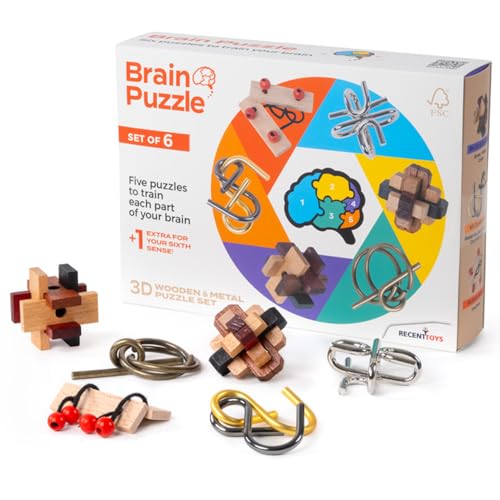 Brain Puzzle - set of 6