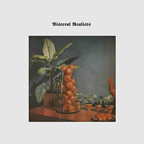 Various - Visceral Realists [VINYL]
