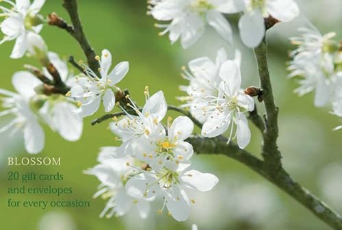 Blossom : An Attractive Pack of High-Quality Flower Gift Cards and Decorative Envelopes