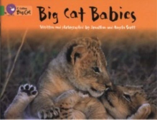 Big Cat Babies: This non-chronological report is packed with facts about big cats. (Collins Big Cat): Band 05/Green
