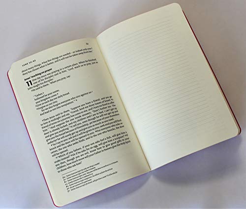 NIV Gospel of Luke for Journalling