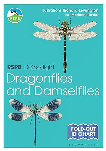 RSPB ID Spotlight - Dragonflies and Damselflies