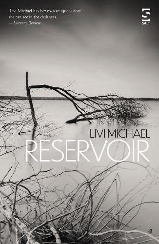 Reservoir (Salt Modern Fiction)