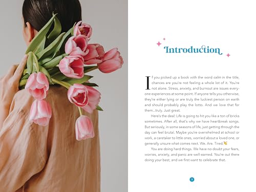 In My Calm Era : 90 Days to Organize Your Emotions, Stress Less, and Connect Back to You