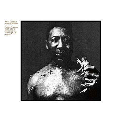 Muddy Waters - After The Rain [VINYL]
