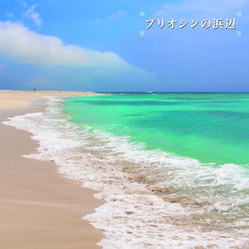 Various - Beach Of The Pliocene (+Obi) [VINYL]