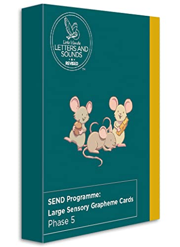 SEND Programme: Large Sensory Grapheme Cards : Phase 5