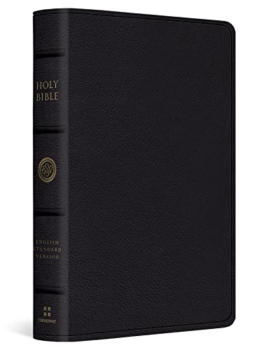 ESV Large Print Bible
