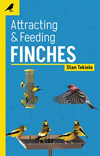 Attracting &amp; Feeding Finches