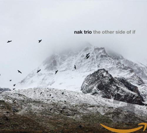 Nak Trio - The Other Side of If [CD]