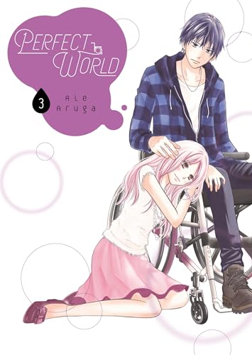 Perfect World Gn Vol 03