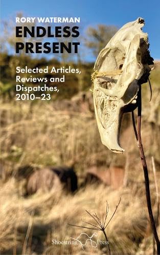 Endless Present : Selected Articles, Reviews and Dispatches, 2010–23