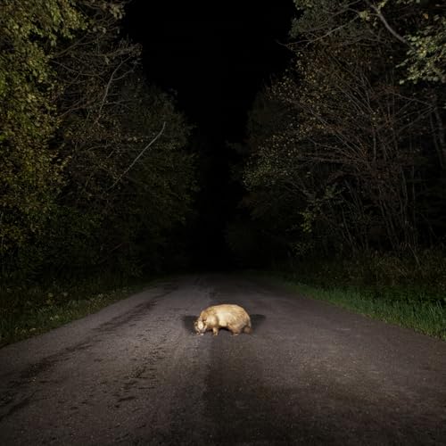 STONKS - BADGER [CD]