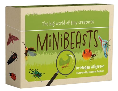 Minibeasts : The big world of tiny creatures