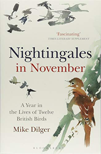 Nightingales in November: A Year in the Lives of Twelve British Birds