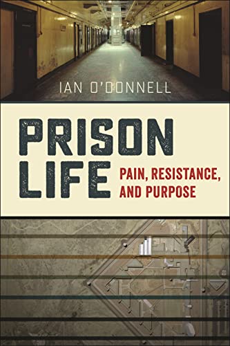Prison Life: Pain