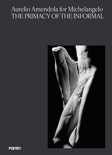 Aurelio Amendola for Michelangelo : The Primacy of the Informal