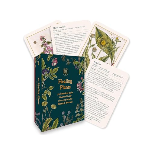 50 Healing Plants: an illustrated card deck