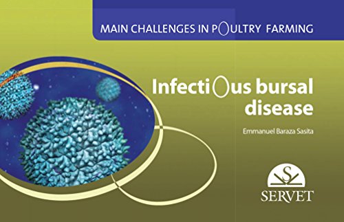 Infectious Bursal Disease - Main challenges in poultry farming