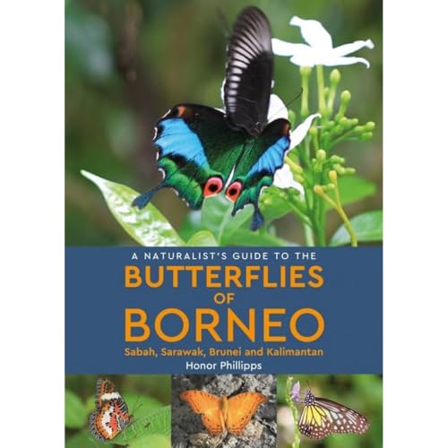 A Naturalist's Guide to the Butterflies of Borneo