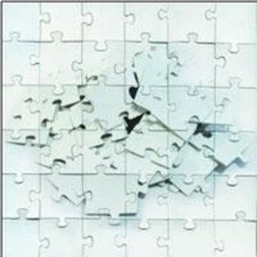 Not Scientists - Destroy To Rebuild [CD]