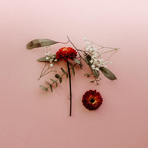 Sunsleeper - You Can Miss Something & Not Want It Back [VINYL]