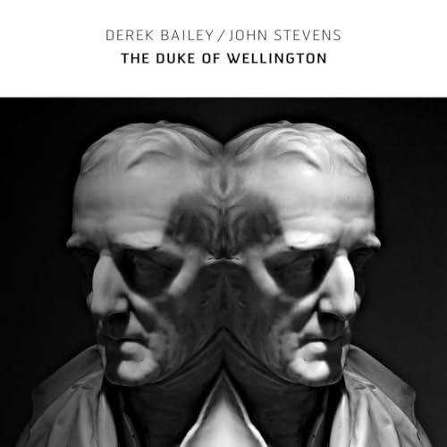 Derek Bailey & John Stevens - The Duke Of Wellington [CD]