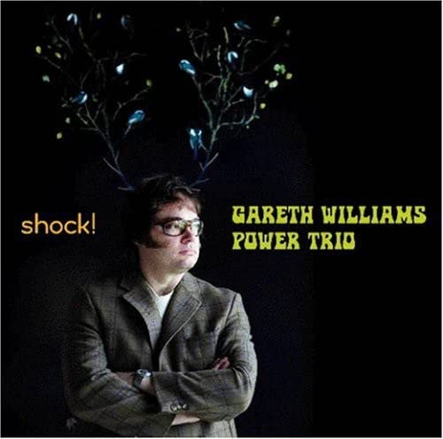 Gareth Williams Power Trio - Shock [CD]