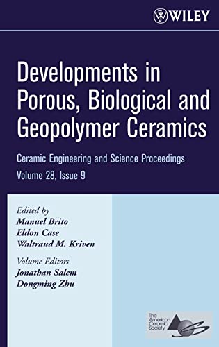 Developments in Porous